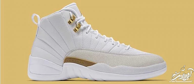 دریک ایر جردن ۱۲